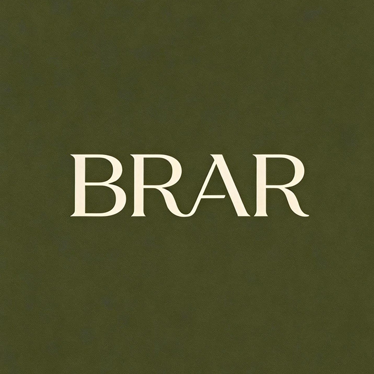 仿生知觉 BRAR Logo
